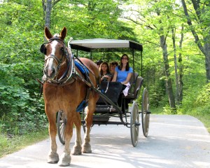 Family drives carriage at Mackinac