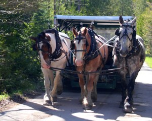 Mackinac Island Carriage Tours