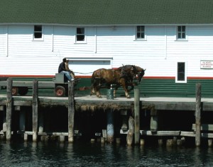 Horse drawn Wagon at Arnold Dock
